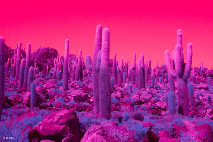 Модернистская архитектура и пейзажи Калифорнии