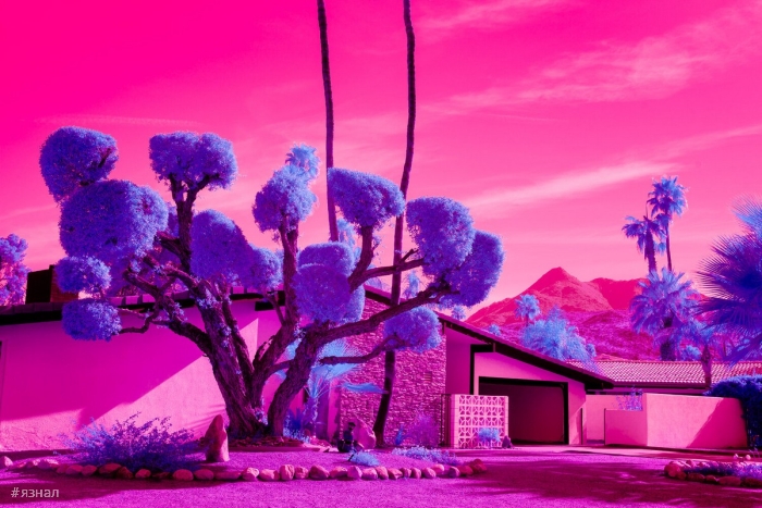 Модернистская архитектура и пейзажи Калифорнии