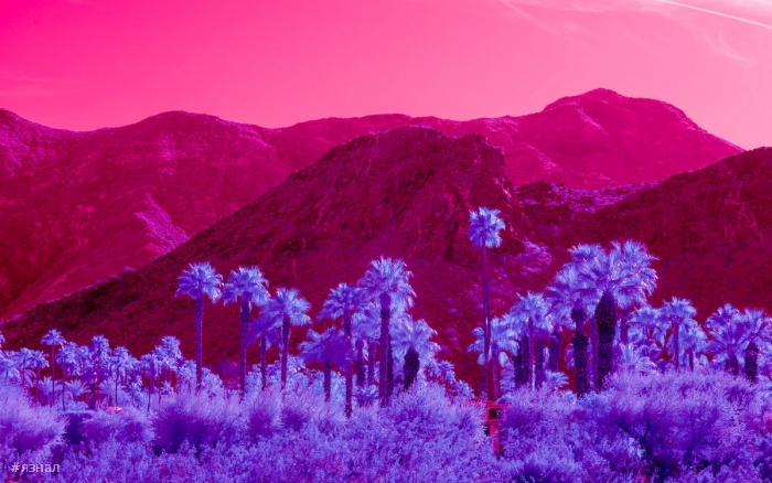 Модернистская архитектура и пейзажи Калифорнии