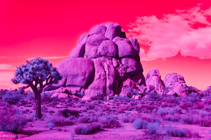 Модернистская архитектура и пейзажи Калифорнии