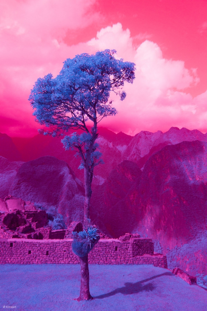 Модернистская архитектура и пейзажи Калифорнии