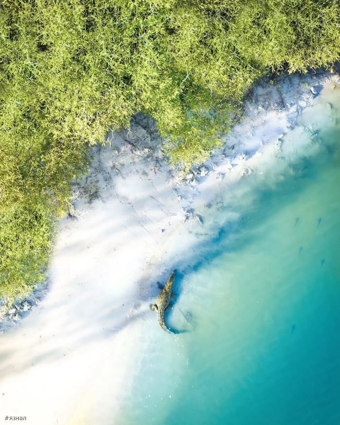 Фото из Австралии