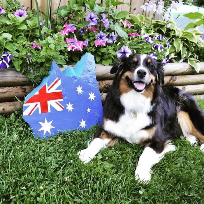 Фото из Австралии