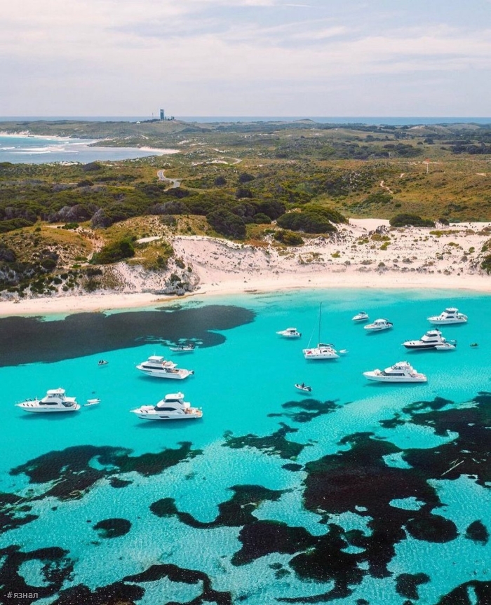 Фото из Австралии