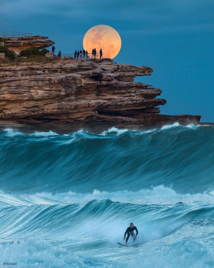 Фото из Австралии