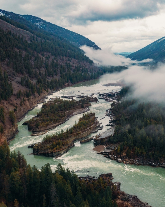 Дикая природа в объективе