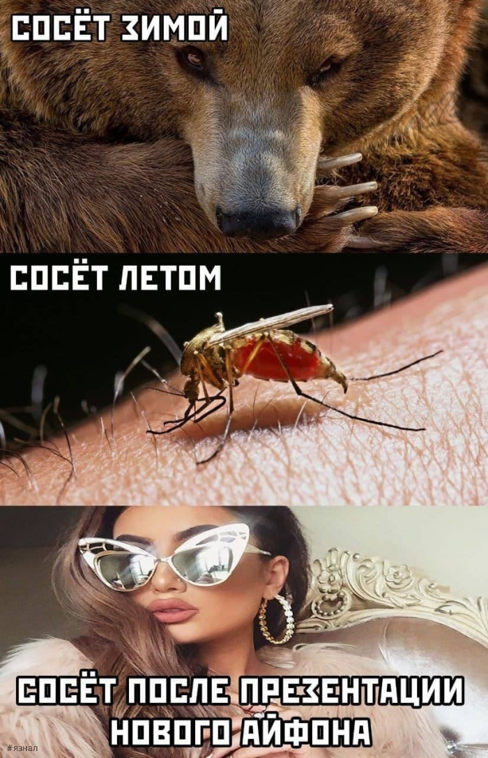 Юмор с пошлинкой