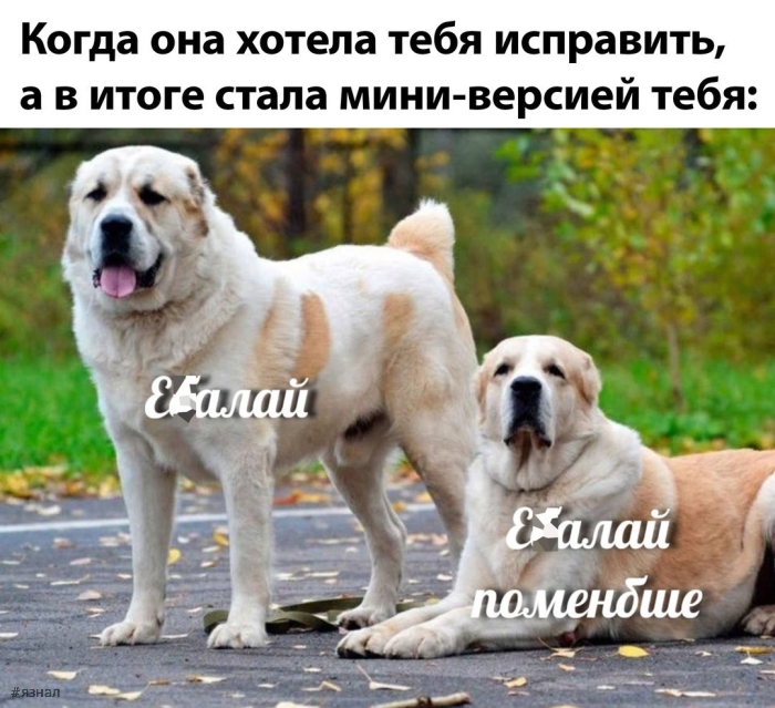 Пошлые приколы