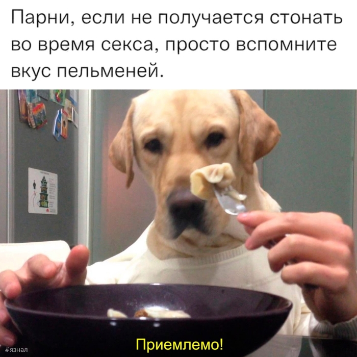 Пошлые приколы