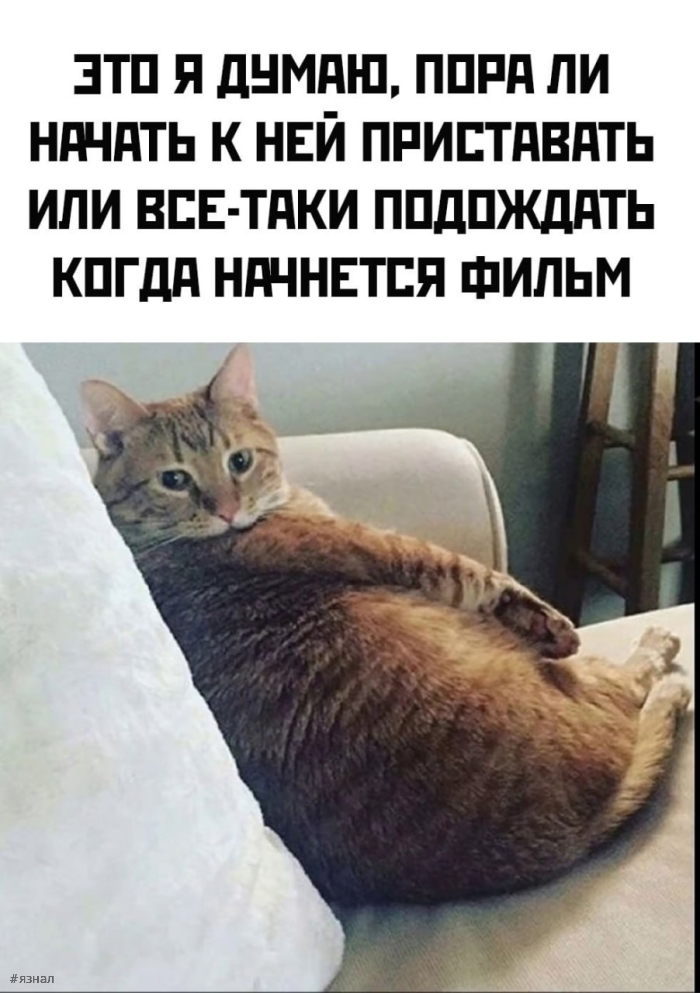 Пошлые приколы