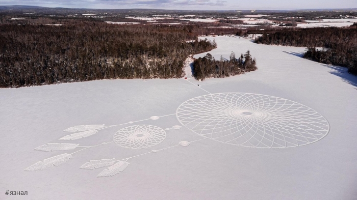 Позитивные фото для настроения