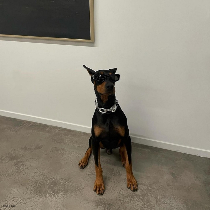 Позитивные фото для настроения