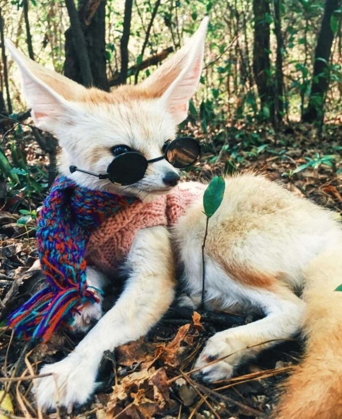 Позитивные фото для настроения