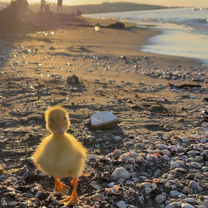 Позитивные фото для настроения