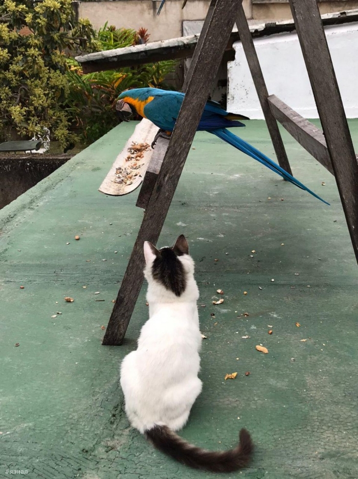 Позитивные фото для настроения