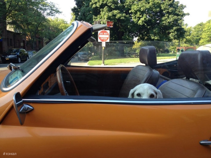 Позитивные фото для настроения