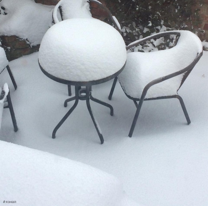 Позитивные фото для настроения