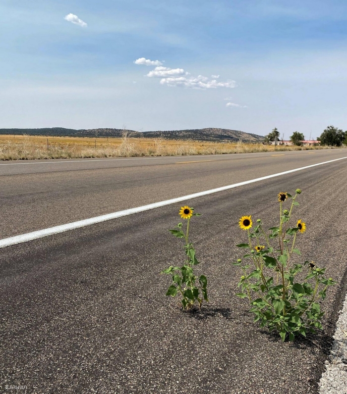 Позитивные фото для настроения