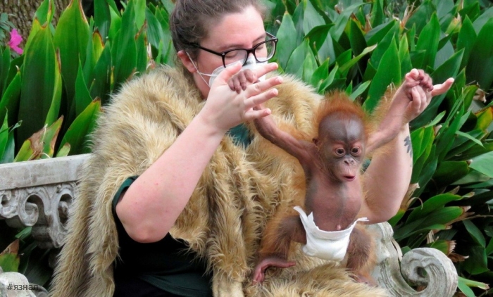 Позитивные фото для настроения