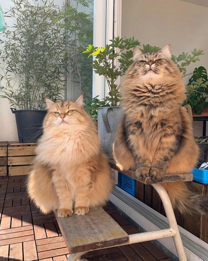 Позитивные фото для настроения