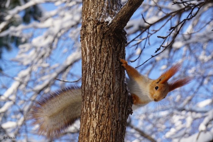 Позитивные фото для настроения