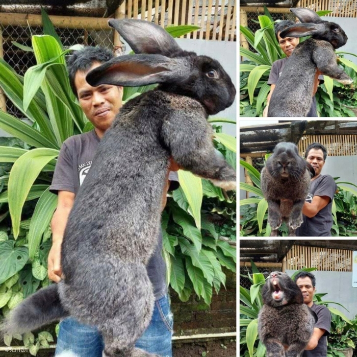 Позитивные фото для настроения