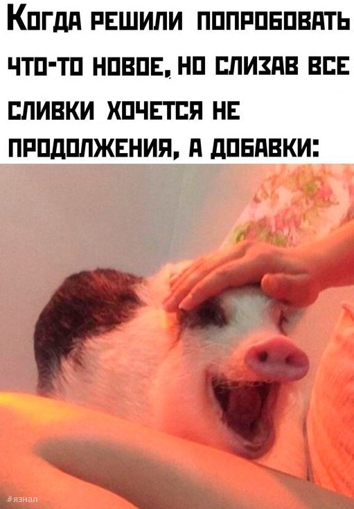 Пошлый юмор