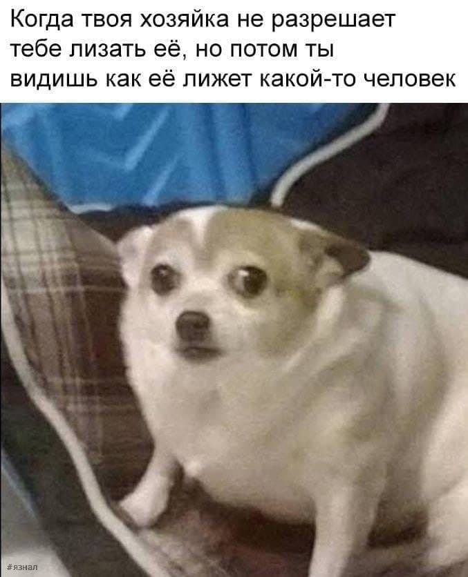 Пошлые приколы на ЯЗНАЛ