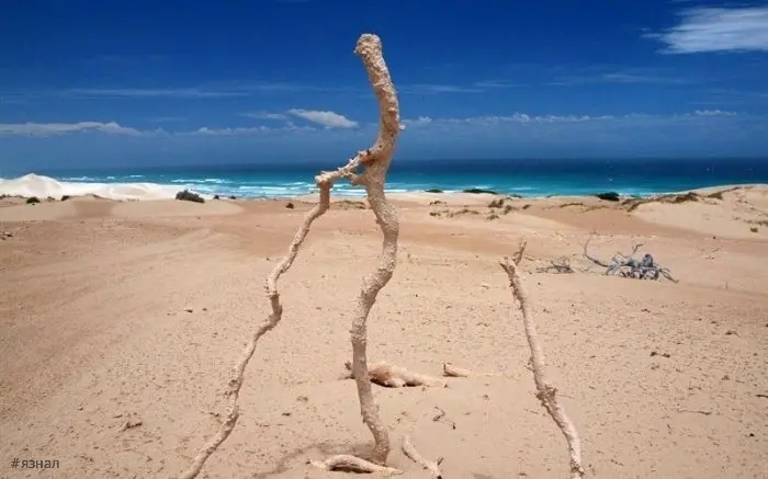 Последствия удара молнии