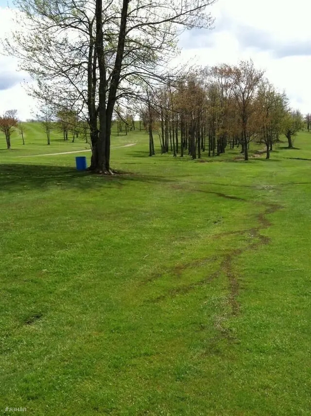 Последствия удара молнии