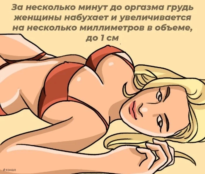 О сексуальности