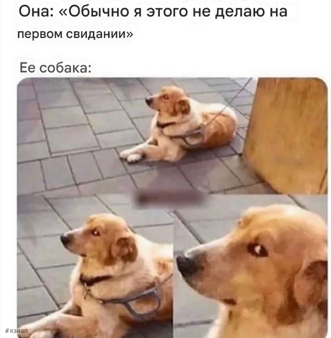 Веселые мемы