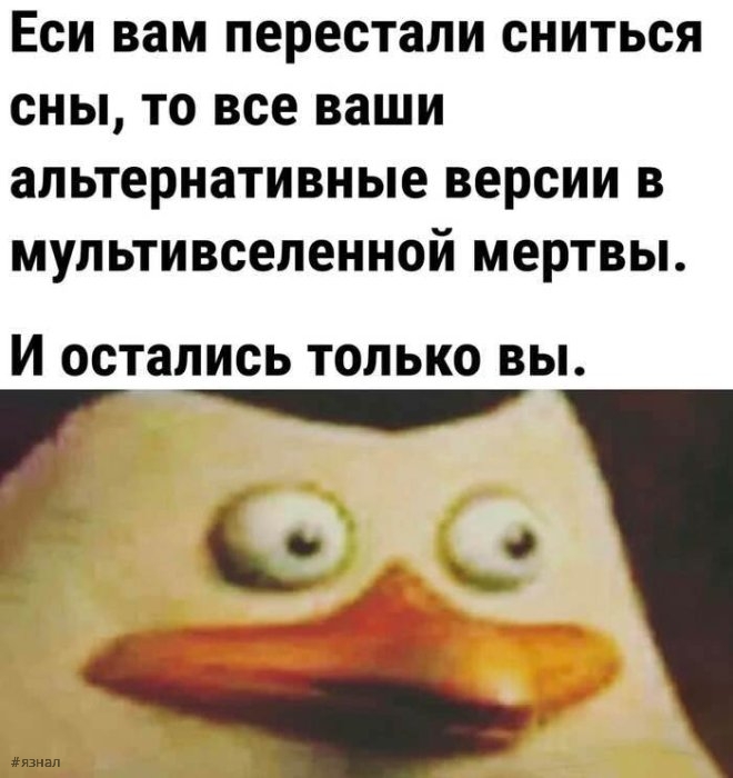 Веселые мемы