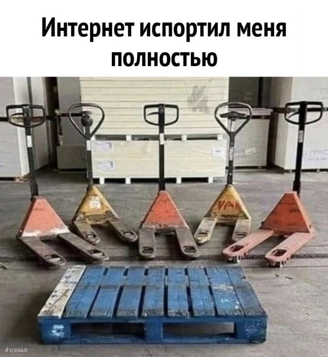 Веселые мемы