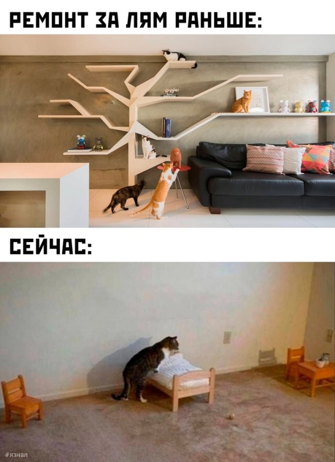 Веселые картинки с надписями