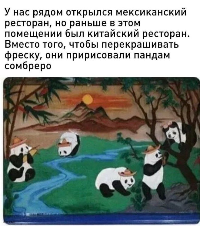 Веселые картинки с надписями