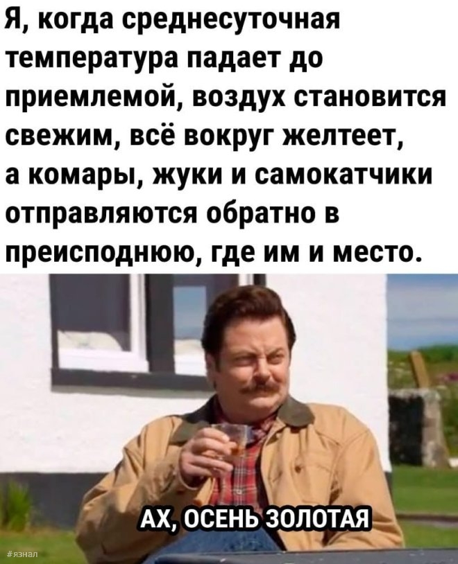 Веселые картинки с надписями