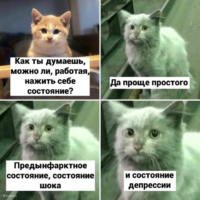 Веселые картинки с надписями