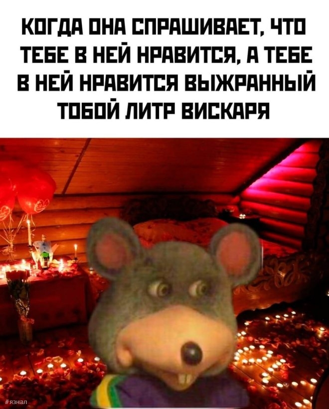 Веселые картинки с надписями