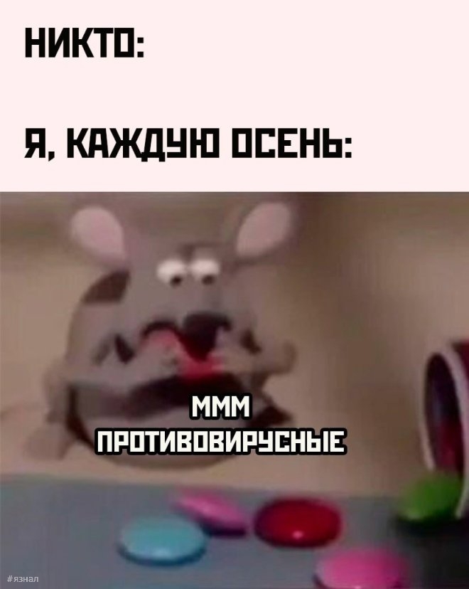 Веселые картинки с надписями