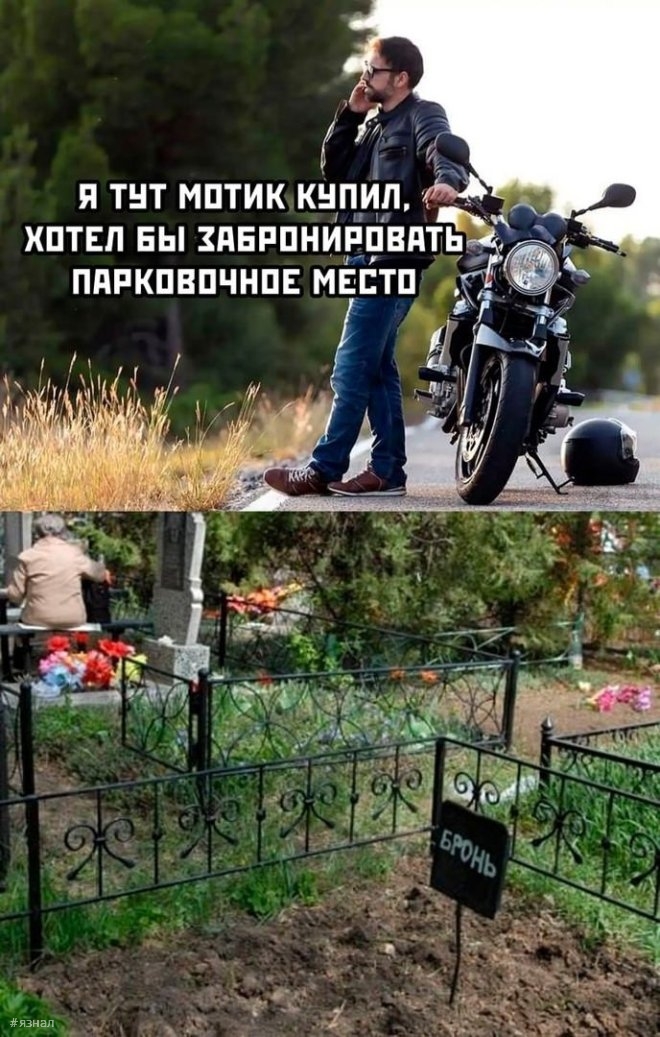 Веселые картинки с надписями