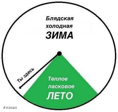 Веселые картинки с надписями