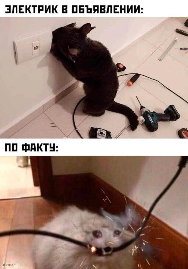 Веселые картинки с надписями