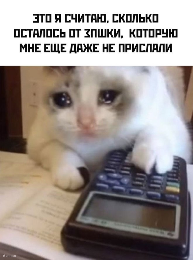 Веселые картинки с надписями