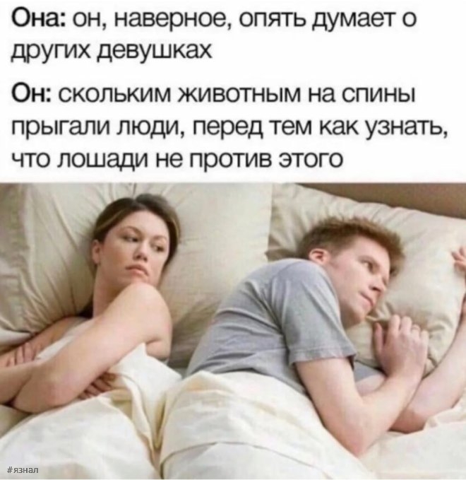 Веселые приколы