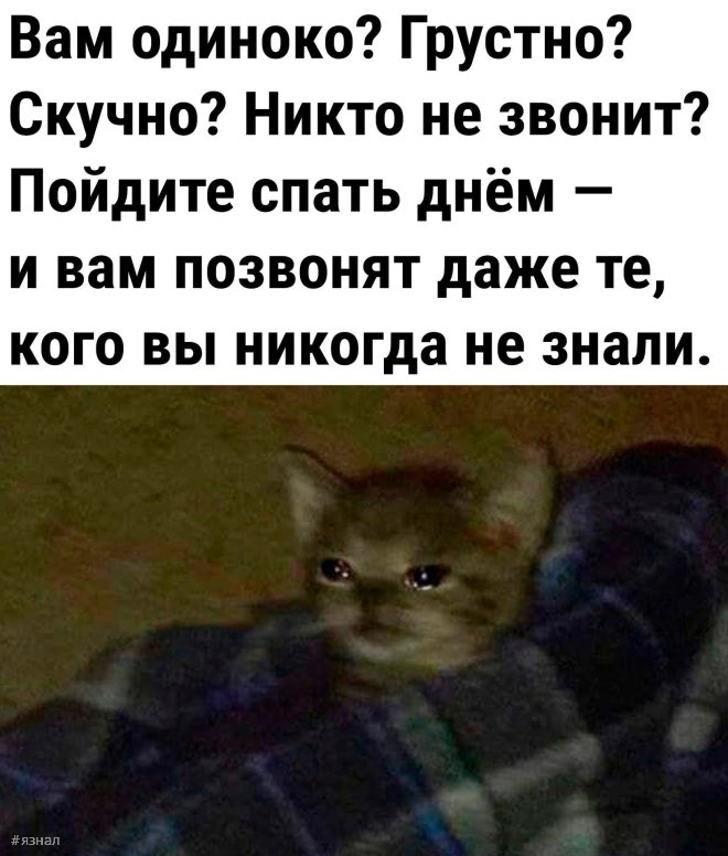 Веселые приколы