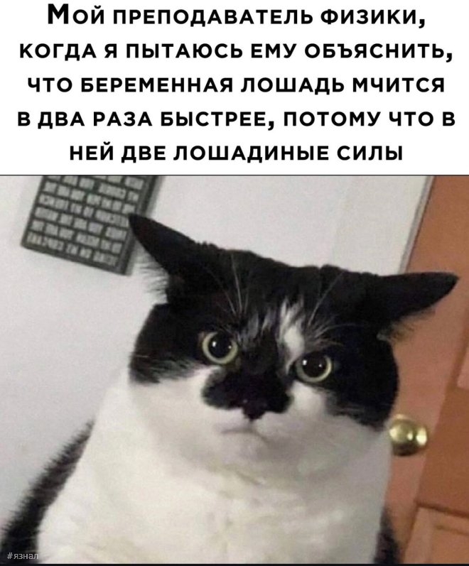 Веселые приколы