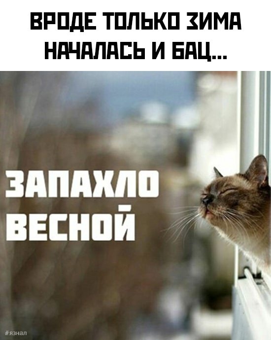 Веселые приколы