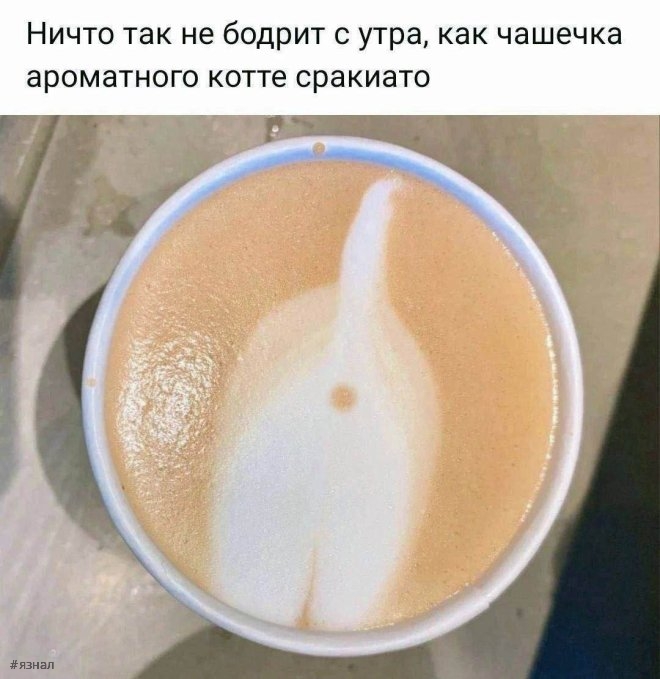 Веселые приколы