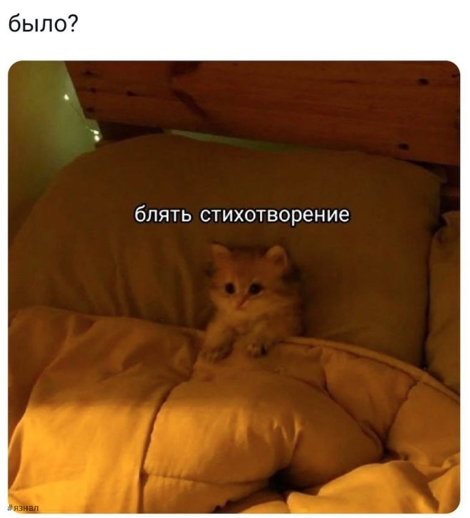 Веселые приколы